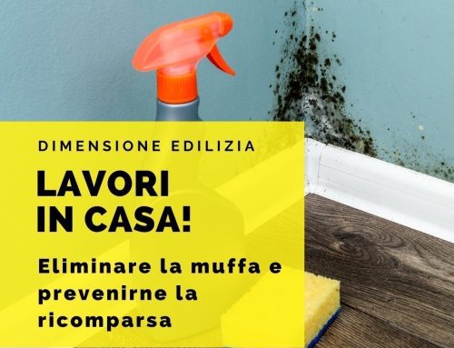 Eliminare la muffa e prevenirne la ricomparsa